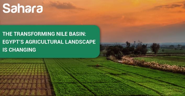 EGYPT’S AGRICULTURAL LANDSCAPE