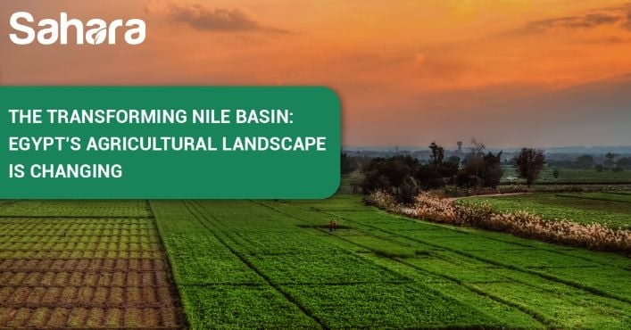 EGYPT’S AGRICULTURAL LANDSCAPE