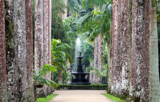 Jardim Botânico