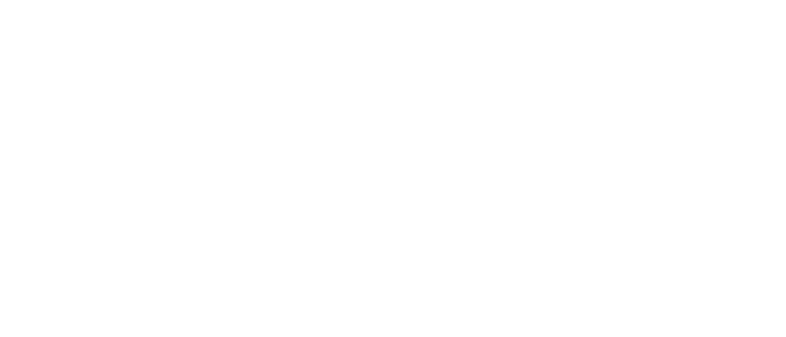 BTR Fall white logo