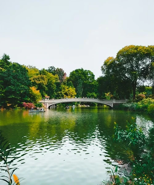 Central Park Activities