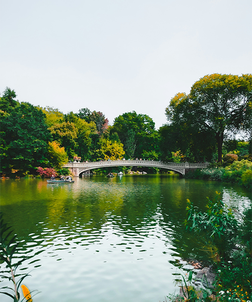 Central Park Activities