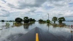 CityscapeWIRE • Sustainability