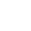 conference pass icon