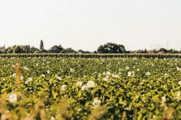Sustainability Zone