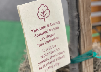 Environmental Responsibility