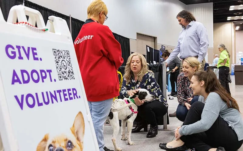 Give adopt volunteer