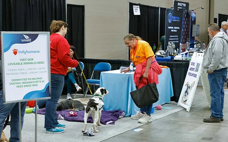 IndyHumane Pet Adoption