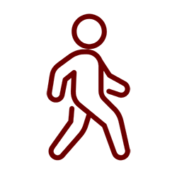 Browsing and walking the show floor