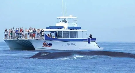 Dana Wharf Sportfishing and Whale Watching