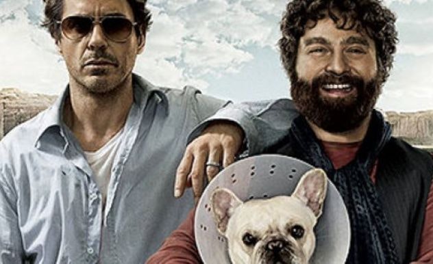 The main characters & dog from DUE DATE