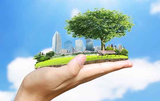 Sustainable Travel Tips