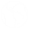 world