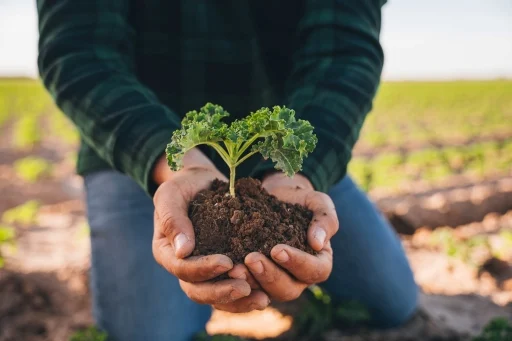 An outstanding opportunity to visit the country’s largest processor of organic salads