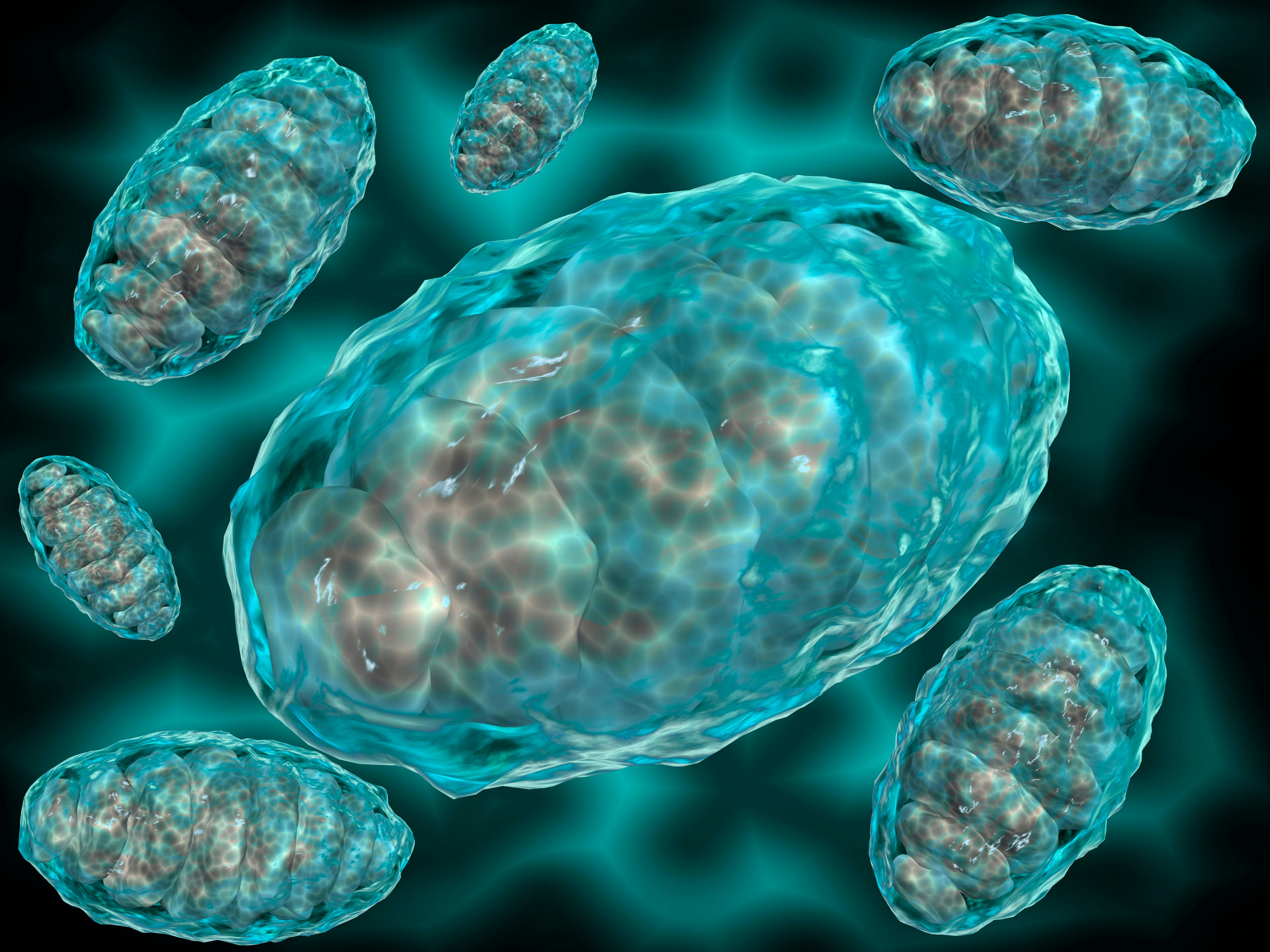 photo of cells including mitochondrial uncouplers and browning agents.
