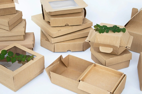 Evolution of Food Packaging in the Dairy Product Industry