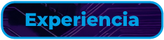 Experiencia