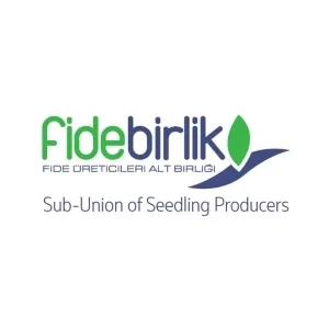 fidebirlik