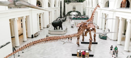 Field Museum