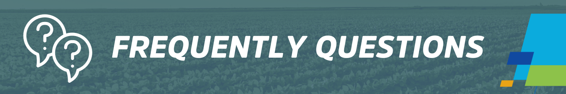 Frequently Questions