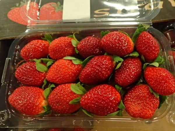 Egyptian Strawberry sales