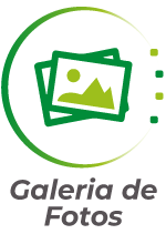 Galeria de Fotos