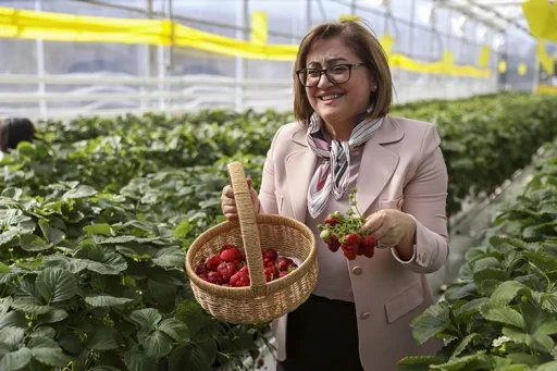Strawberries