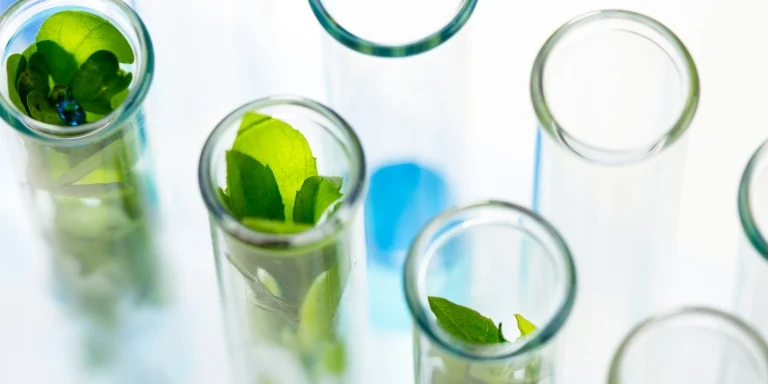 Excellence in Sustainability