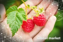 Raspberries