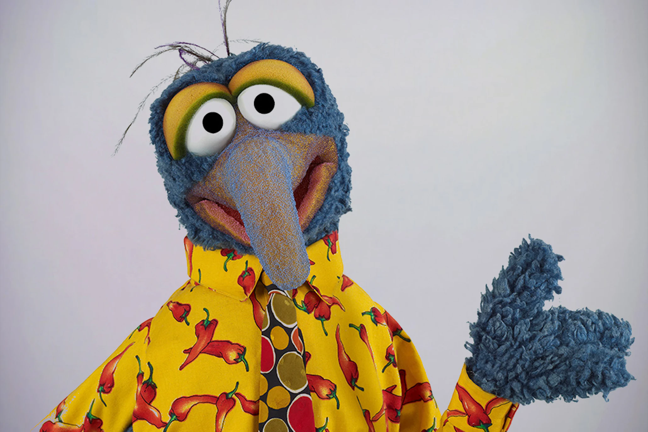 Muppet zodiac signs 60 photos - Astrologytoyou.com