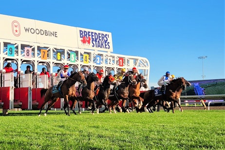 Woodbine Racetrack & Casino