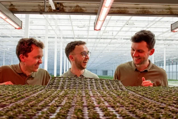 Hydroponics is Our Main Business