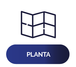 Planta