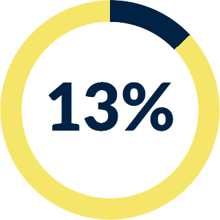 13% icon