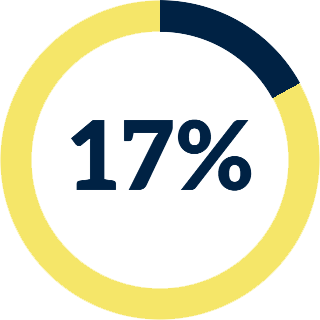 17% icon