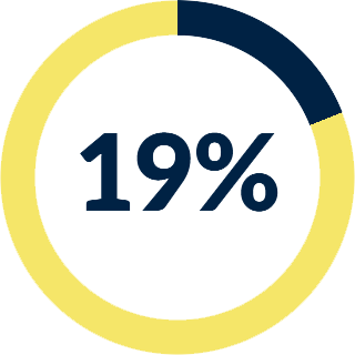 19% icon