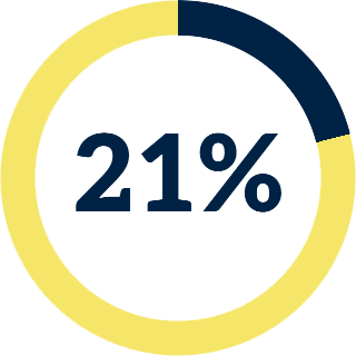 21% icon
