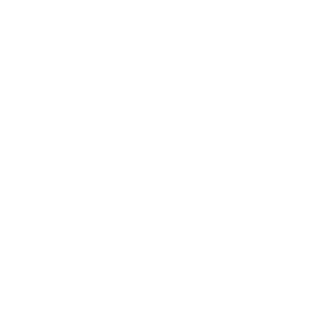 Plane icon