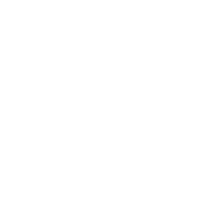Car icon