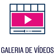 Galeria De Videos