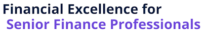 Financial Excellence for Senior Finance Professionals