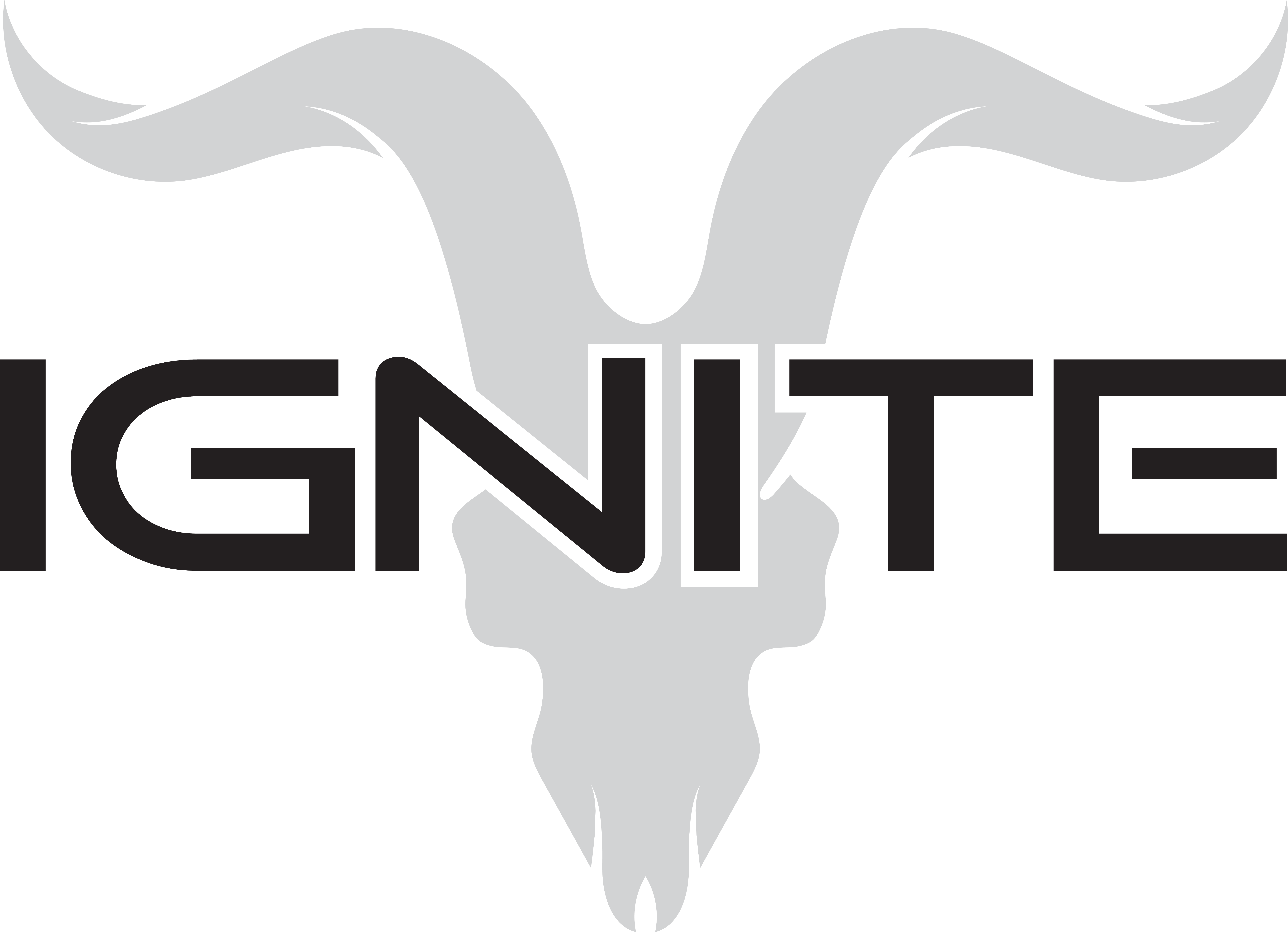 Ignite International