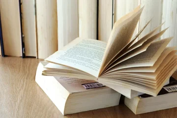 Books for construction leaders