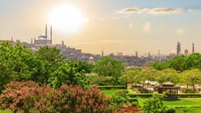 Egypt Industry Impact