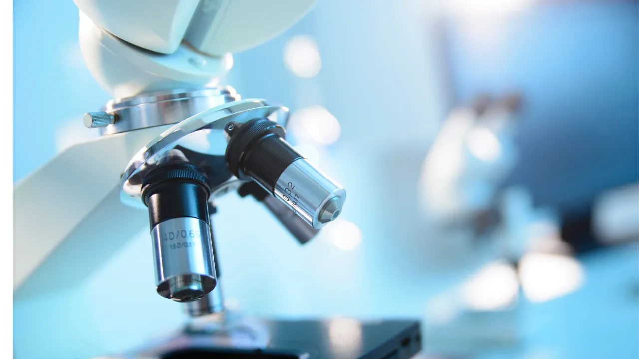 Medical Laboratory