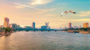 Egypt Industry Impact