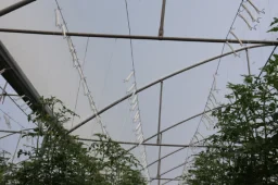The Need to Improve Conditions