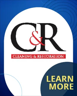 CLEANING AND RESTORATION