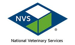 NVS