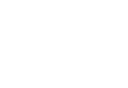 Boeing Logo